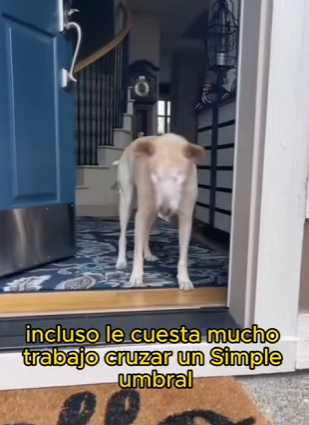 A2612002 sure sun is not as bright as you (Parte 2)