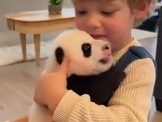 E2412003 saved panda (Part 2)