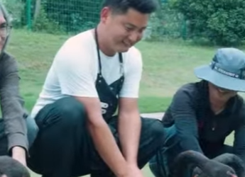 R2512010 male swan abandons his wife his love (Parte 2)