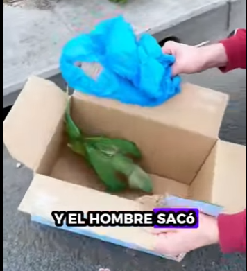 R2512013 Loros de rescate (Parte 2)