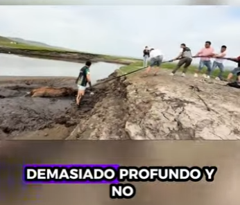 R2512012 Caballo de rescate (Parte 2)