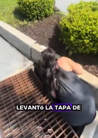 R2512002 Patos rescatados (Parte 2)