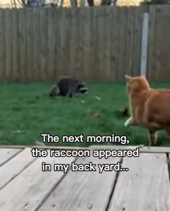 P2712012 exclusive content! Link in bio (Part 2)