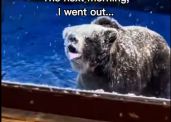 P2712010 Uhhh would you have gone outside (Part 2)