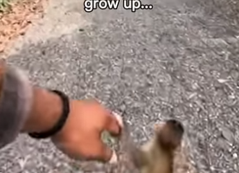 P2712004 Man saves monkey has friend life! (Part 2)