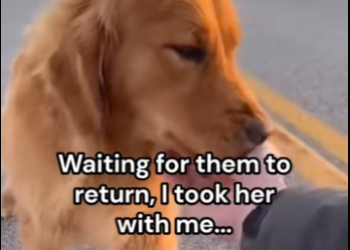 P2712006 Why did they leave her (Part 2)