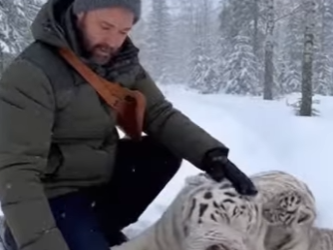 P2712015 White Tiger Rescue Turns Into Miracle Friendship Mother Never (Part 2)