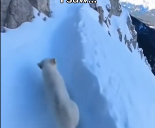 P2712008 Would you have saved lion cub (Part 2)