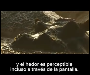 E2712021 Maf La Supervivencia en Tierras Áridas (Parte 2)