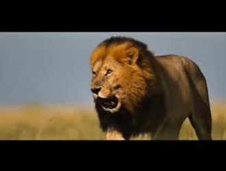 E2712011 El Silencioso Amor Maternal La Historia de Supervivencia de Denglin (Parte 2)