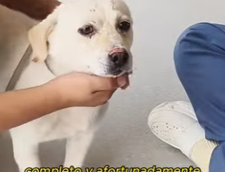 A2712006 Harming other lives while praying gods help (Part 2)