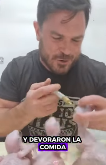 A2712003 Loro de rescate (Part 2)