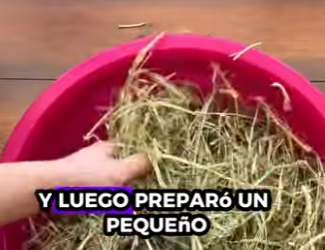 A2712001 Rescatar al hipopótamo (Part 2)