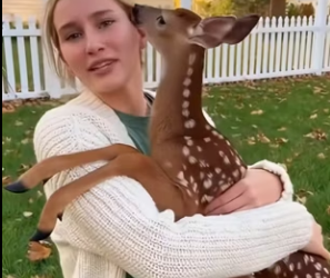 E2412011 deer followed my dog home (Part 2)