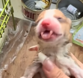 R0102004_Love made the difference (Part 2)