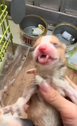 R0102004_Love made the difference (Part 2)