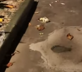 R2712020 En el momento en que te pusiste de pie supe que no estabas abandonado (Parte 2)