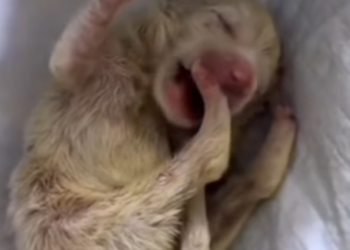 R0102001_Hope came just in time (Part 2)