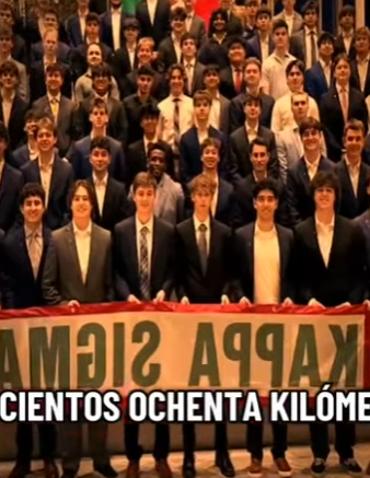 V2712003 Este perrito fue encontrado años después (Parte 2)