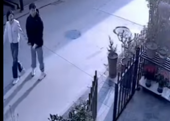 V2712005 El perro más querido de la cuadra (Parte 2)