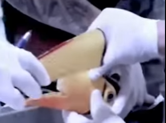 V2712010 estás personas hicieron lo inimaginable por este hermoso tucán (Parte 2)