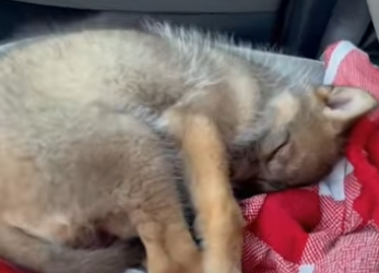 Z2712002 Compassion creates real change (Part 2)