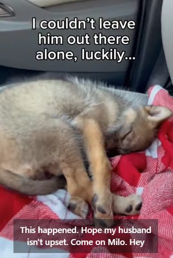 Z2712002 Compassion creates real change (Part 2)