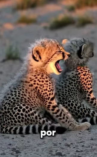 G2812004 Datos de Animales que Te Van Explotar la Cabeza (Parte 2)