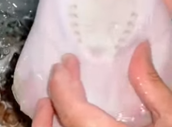 R3012011 Salva las mantarrayas (Parte 2)