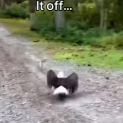 Z2712006 Haha nice (Part 2)