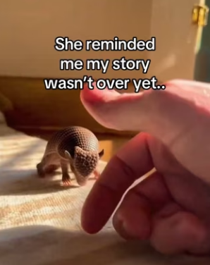 Z2712013 Who saved who (Part 2)