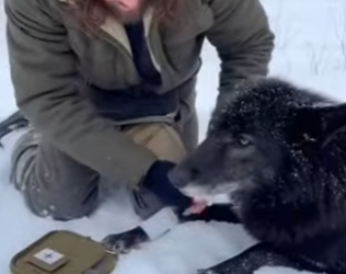 P3012002 He once attacked me (Part 2)