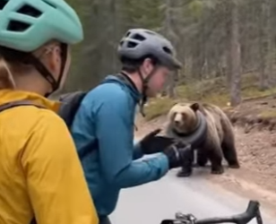 P3012012 We just wanted bike ride ended up saving bear tire stuck (Part 2)