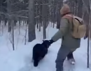 P3012009 panther asked me help ended up saving her baby (Part 2)