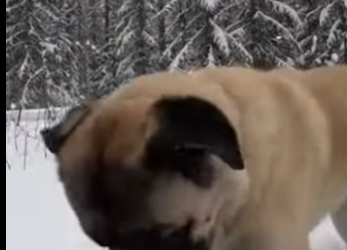 P3012001 After storm (Part 2)