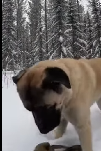 P3012001 After storm (Part 2)