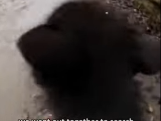 P0101011 rowed out into flood to save wolf mother (Part 2)