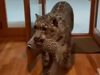 P0101023 went to my shelter found (Part 2)