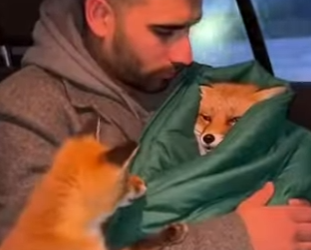 P0101014 don know how long she was trapped under ice (Part 2)