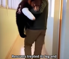 P0101022 Mother bear came to me help (Part 2)