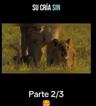 E0101016 La belleza nace en lo salvaje.