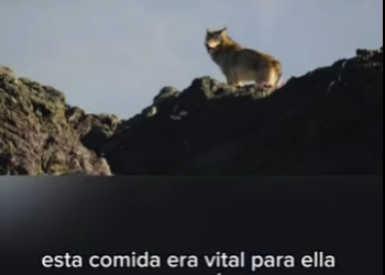 E0101005 Hoy ganó el amor.