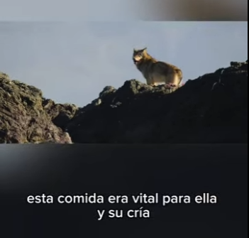 E0101005 Hoy ganó el amor.