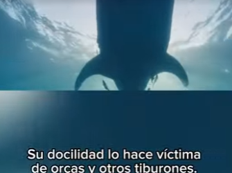 E0101001 Donde los animales reinan en silencio.