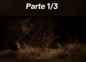 E0101017 Otra oportunidad para ser feliz.