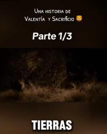 E0101017 Otra oportunidad para ser feliz.