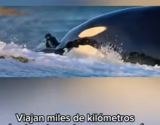 E0101003 La naturaleza no necesita palabras.