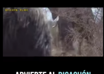 E0101022 La naturaleza nunca deja de sorprender.