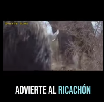 E0101022 La naturaleza nunca deja de sorprender.