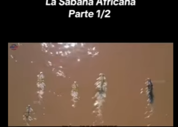 E0101024 Una vida preciosa asegurada.